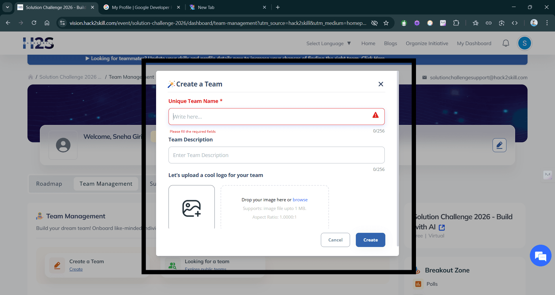 Add team details screenshot